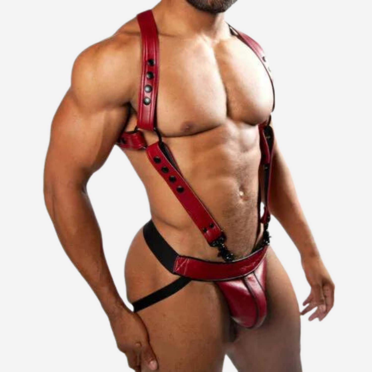 Harness & Suspender